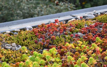 the cost of Keal Cotes green roof installation